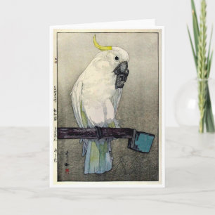 Zwavelcockatoo, Yoshida Kaart