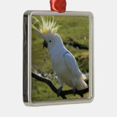 ZwavelCrested Cockatau in Australië Metalen Ornament (Rechts)