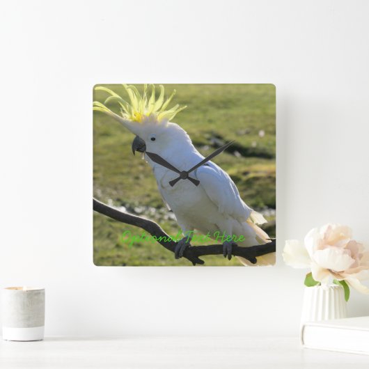 ZwavelCrested Cockatau in Australië Vierkante Klok (Huis)