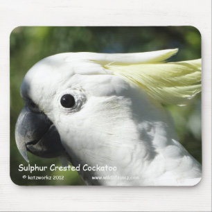 ZwavelCrested Cockatau Muismat