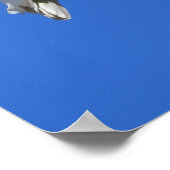 ZwavelCrested Cockatau Poster (Hoek)