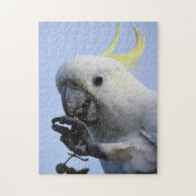 ZwavelCrested Cockato Puzzle