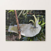 ZwavelCrested Cockatoengolven op de fotograaf Legpuzzel (Horizontaal)