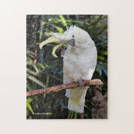 ZwavelCrested Cockatoengolven op de fotograaf Legpuzzel