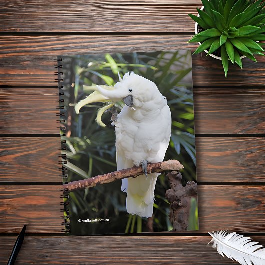 ZwavelCrested Cockatoengolven op de fotograaf Notitieboek