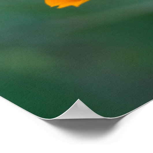 Zwavelkosmos 01 poster (Hoek)