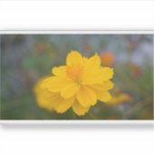 Zwavelkosmos 01 sticker (Voorkant)