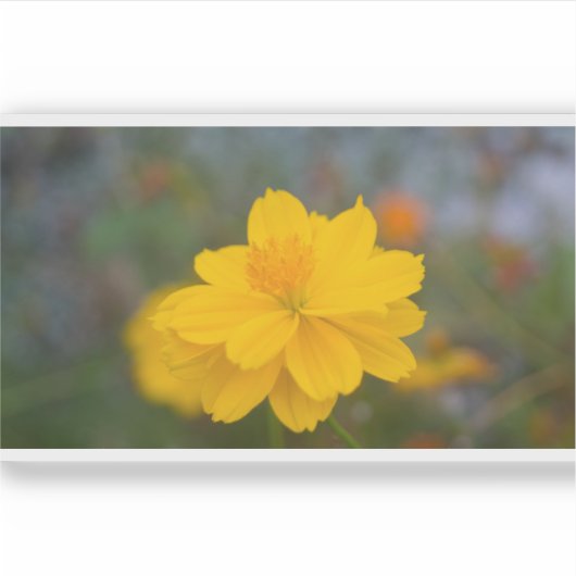 Zwavelkosmos 01 sticker (Voorkant)