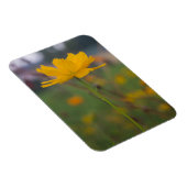 Zwavelkosmos 02 magneet (Rechterzijde)