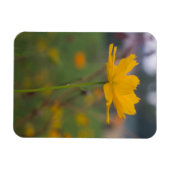 Zwavelkosmos 02 magneet (Horizontaal)