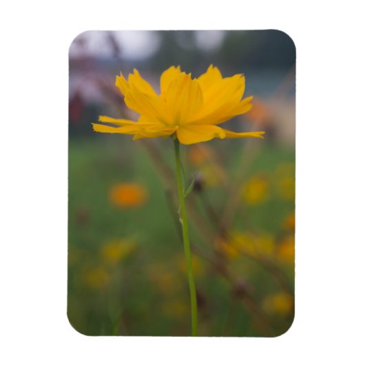 Zwavelkosmos 02 magneet (Verticaal)