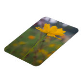 Zwavelkosmos 02 magneet (Linkerzijde)