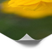 Zwavelkosmos 02 poster (Hoek)