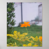 Zwavelkosmos 03 poster (Voorkant)