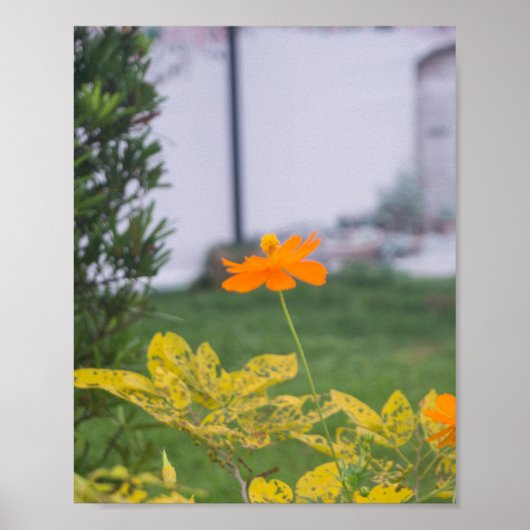 Zwavelkosmos 03 poster (Voorkant)