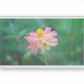 Zwavelkosmos 04 sticker (Voorkant)