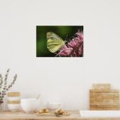 Zwavelvlies Poster (Keuken)