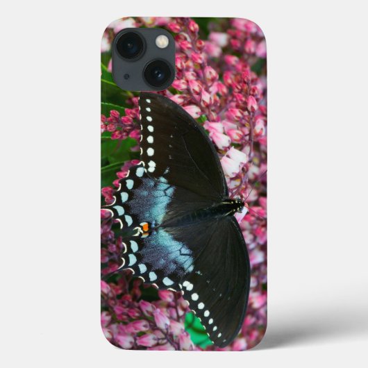 Zwavelvlinder | In de familie Phoebis Case-Mate iPhone Case (Achterkant)