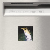 Zwavelwerpkatoenmagneet Magneet (Insitu (Vaatwasser))