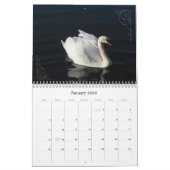 Zwbokken en cygnets Fotografie Agenda Kalender (Jan 2026)