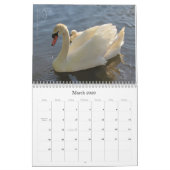 Zwbokken en cygnets Fotografie Agenda Kalender (Mar 2026)