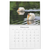 Zwbokken en cygnets Fotografie Agenda Kalender (Feb 2026)