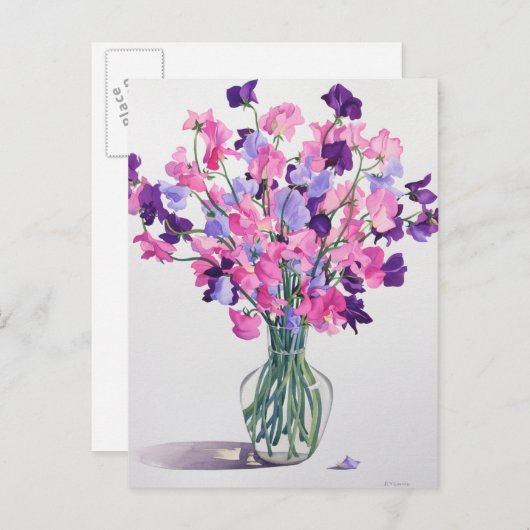 Zweden 2007 briefkaart (Voorkant / Achterkant)