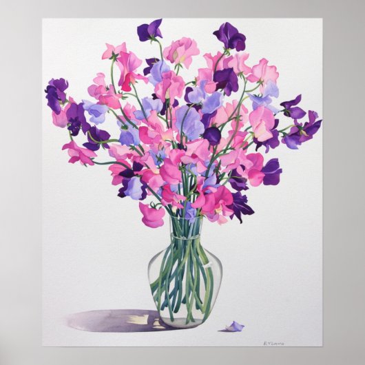 Zweden 2007 poster (Voorkant)