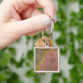 Zweden, Denemarken, Noorwegen Sleutelhanger (Hand)