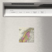 Zweden en Noorwegen Magneet (Insitu (Vaatwasser))