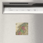 Zweden en Noorwegen Magneet (Insitu (Vaatwasser))