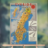 Zweden Kaart Acryl Bord (Neutraal)