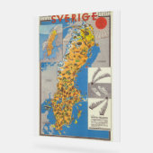 Zweden Kaart Acryl Bord (Hoek)