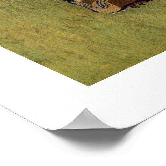 Zweden ~ Lappland Poster (Hoek)