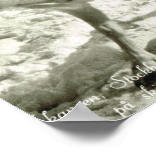  Zweden, rendierslee, Folkmuseum; Poster (Hoek)