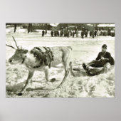  Zweden, rendierslee, Folkmuseum; Poster (Voorkant)