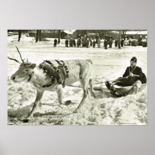 Zweden, rendierslee, Folkmuseum Poster