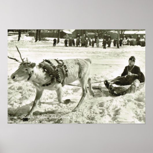  Zweden, rendierslee, Folkmuseum; Poster (Voorkant)
