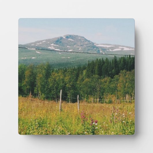 Zweeds berglandschap fotoplaat (Voorkant)
