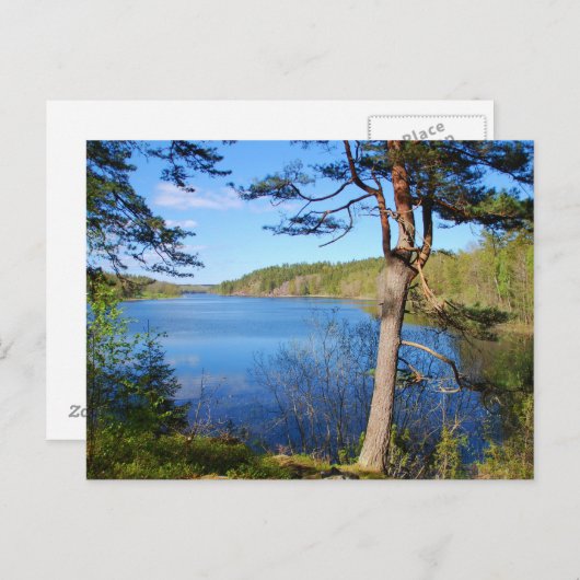 Zweeds briefkaart (Voorkant / Achterkant)