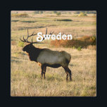 Zweeds Elk Magneet<br><div class="desc">Elk is het niet-officiële nationale dier van Zweden.</div>