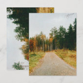 Zweeds herfstbos briefkaart (Voorkant / Achterkant)