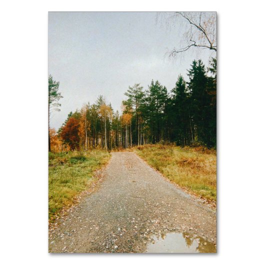 Zweeds herfstbos kaart (Voorkant)