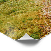 Zweeds herfstbos perfect poster (Hoek)
