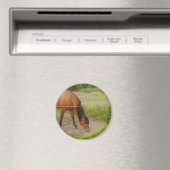 Zweeds paard in een zomerveld magneet (Insitu (Vaatwasser))