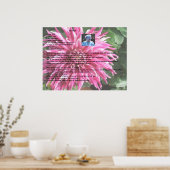 Zweeds Rusks van grootmoeder Poster (Keuken)