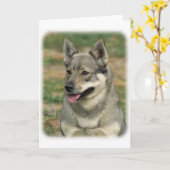 Zweeds Vallhund Kaart (Gele Bloem)