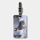 Zweeds Vallhund liet het sneeuwen Kerstmis Bagagelabel (Voorkant verticaal)