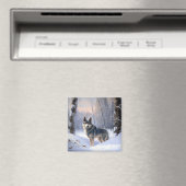 Zweeds Vallhund liet het sneeuwen Kerstmis Magneet (Insitu (Vaatwasser))