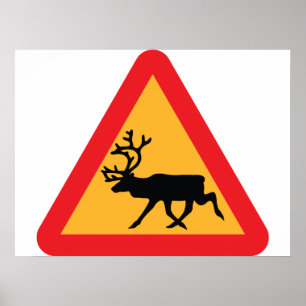 Zweeds verkeersbord voor rendieren poster